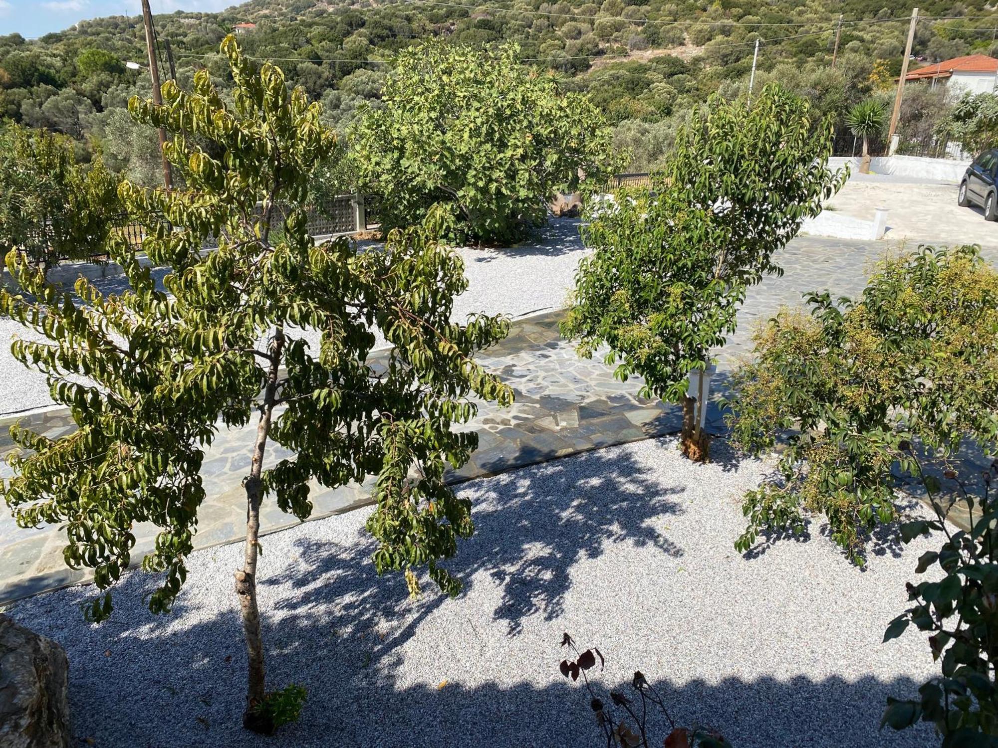 Villa Karras Pythagoreio  Exterior photo